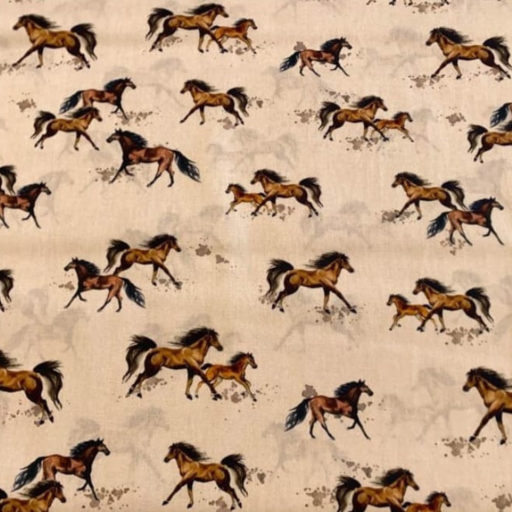 Caballos