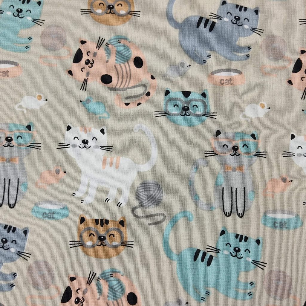 Gatos