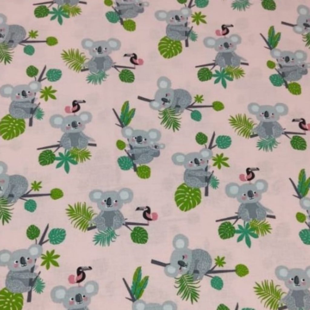 Koalas